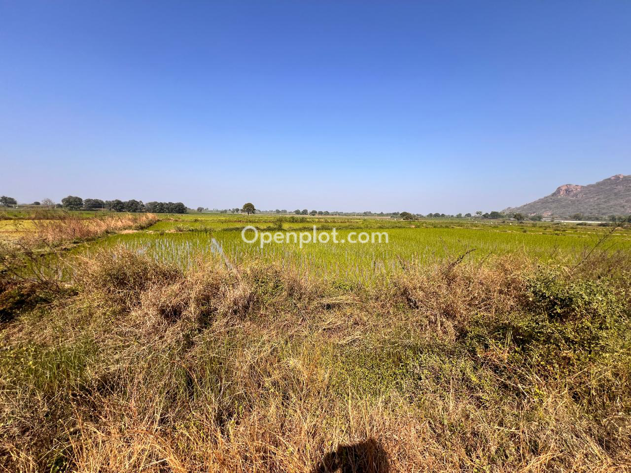 Land for Sale in Vangapahad,Hanumakonda
